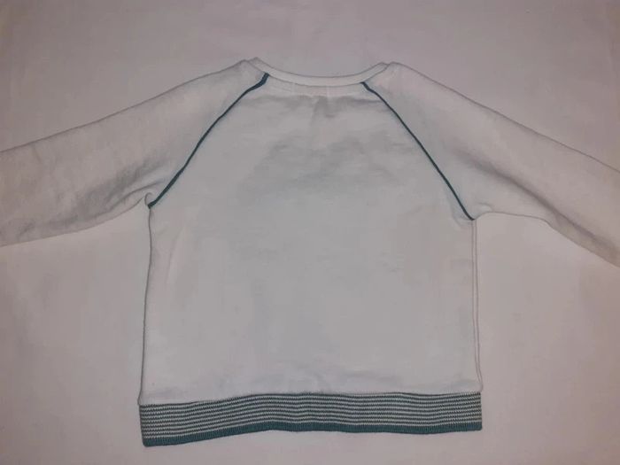 Pull mini champion - photo numéro 3