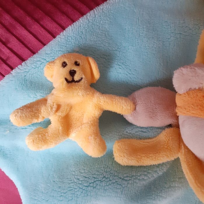 Doudou & cie: Ourson vert menthe & son doudou-chien - photo numéro 3