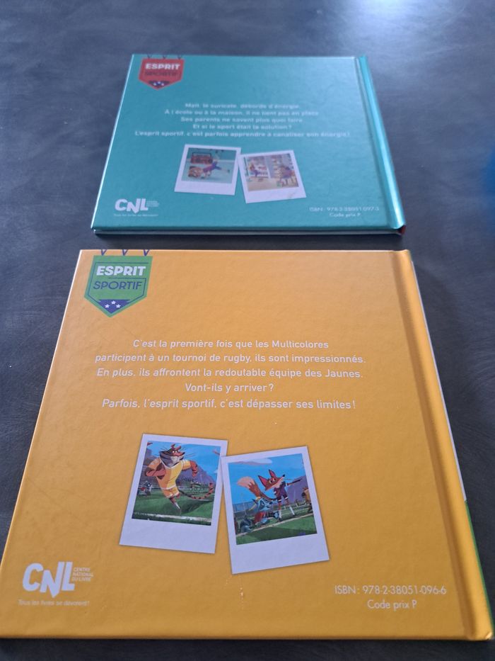 Lot de 2 livres Defi Sportif : Les rencontres d'aviron et l'entraînement de football en TBE - photo numéro 2