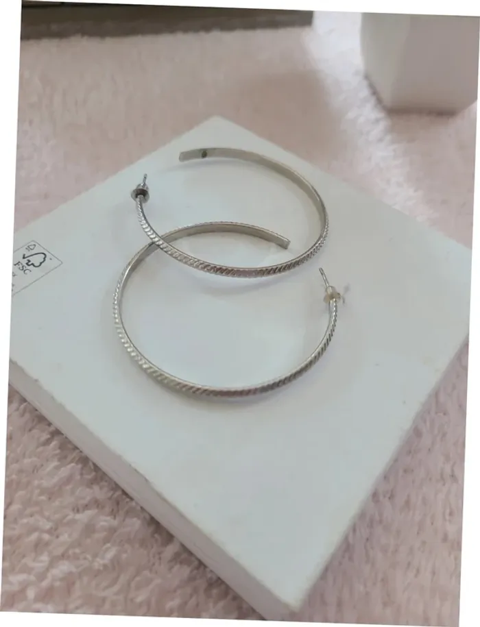 Boucles d’oreilles argentées, élégantes et modernes - photo numéro 2