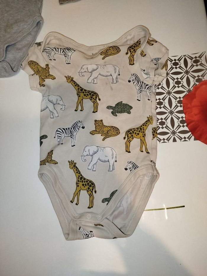 Lot body - photo numéro 2