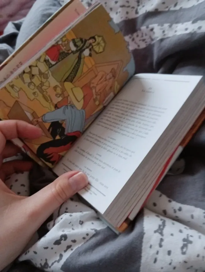 Livre "les malheurs de Sophie comtesse de Ségur " - photo numéro 6