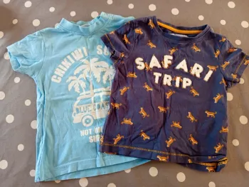 Lot de 2 t-shirts 2-3 ans
