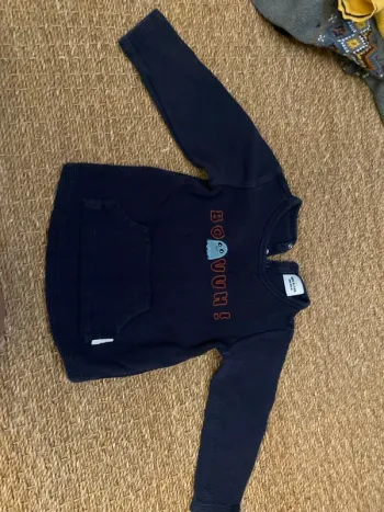Pull 18mois