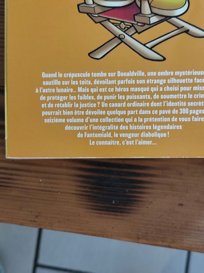 Les Chroniques de Fantomiald - photo numéro 6