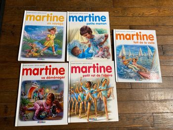lot 5 livres martine