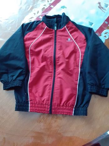 Veste