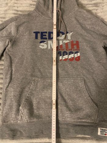 Pull Teddy Smith gris ⭐️