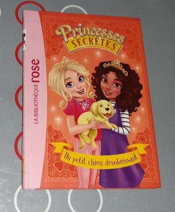 Livre Princesses secretes Bibliothèque Rose