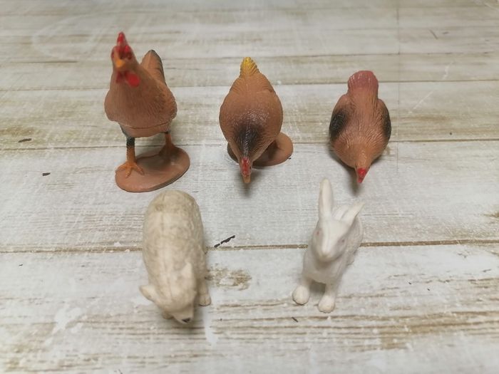 Animaux. - photo numéro 3