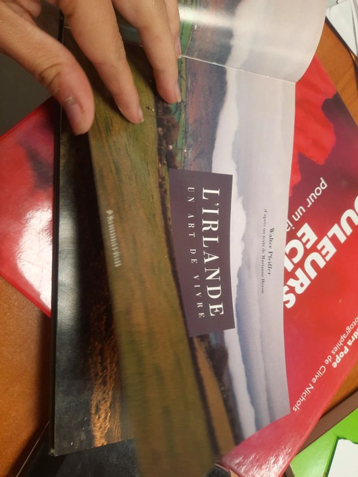Livre l'Irlande un art de vivre - photo numéro 3