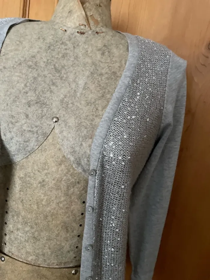 Gilet gris avec paillettes - photo numéro 3