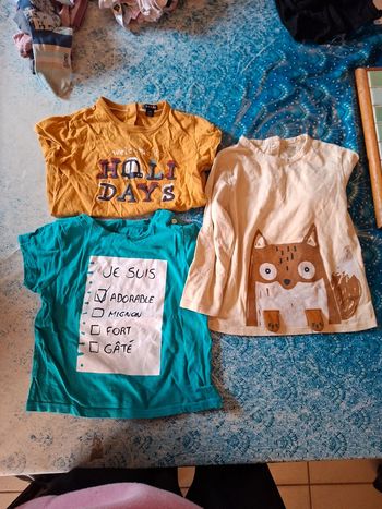 Lot Tee-shirt 24 mois