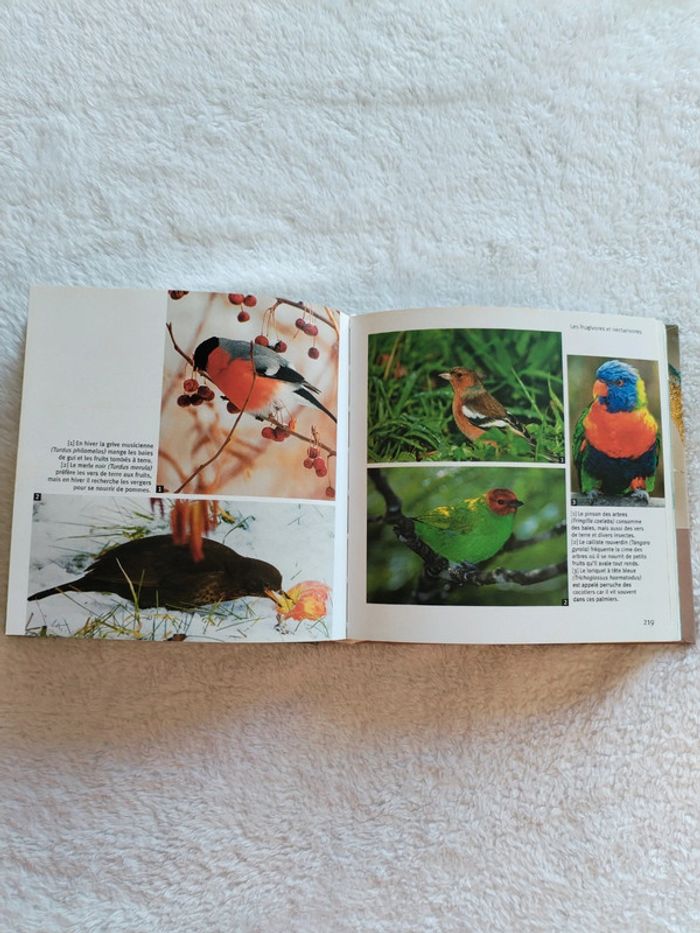 Livre les oiseaux 1001 photos - photo numéro 2