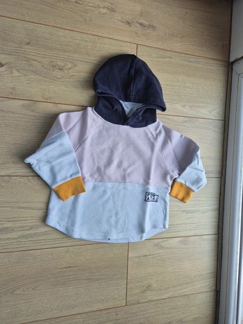 Sweat capuche petit bateau 4 ans
