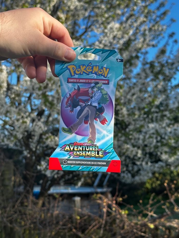 Blister Pokémon EV9 - Aventures Ensemble Neufs - photo numéro 3