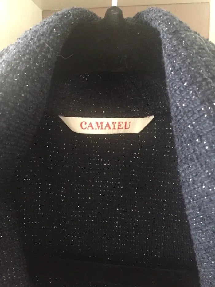 Veste camaïeu taille M - photo numéro 6
