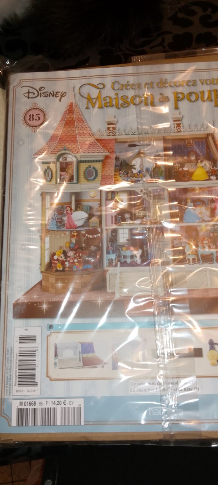Fascicules la maison de Disney - photo numéro 3