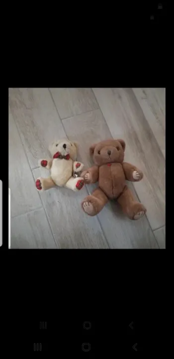 Lot de 2 peluches ourson articulés
Tres bon état