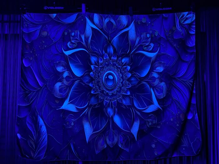 Toile murale décorative œil fleur de lotus