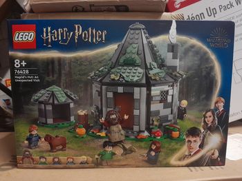 Lego harry potter la cabane d'Hagrid 76428