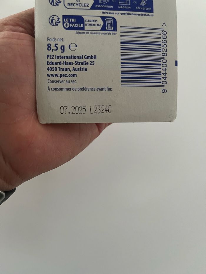 Pez Groot - photo numéro 3