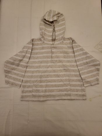 1 tee-shirt manche longue à capuche garçon 3 ans 