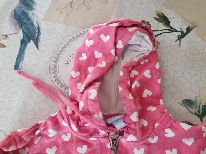 Veste ou sweet à capuche 12 mois - photo numéro 3