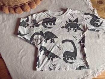 Tee-shirts manches longues Zara crème et dinosaures vert 104