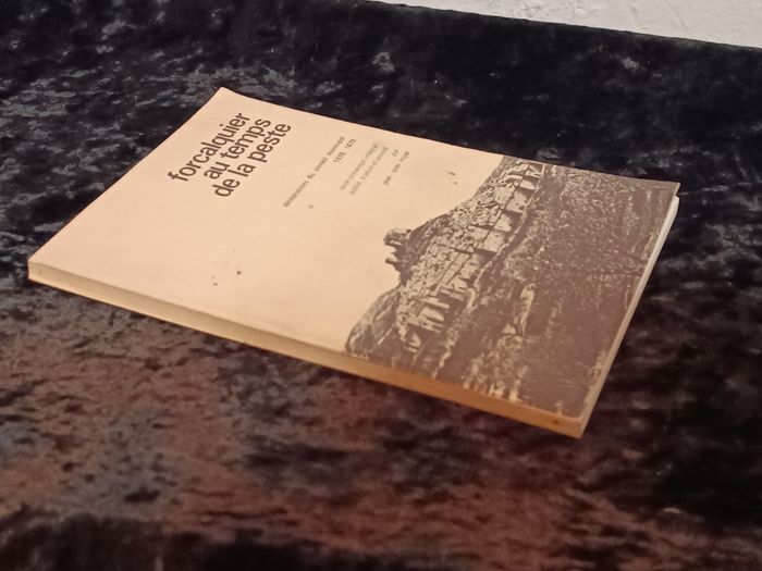 Forcalquier au temps de la peste - photo numéro 7