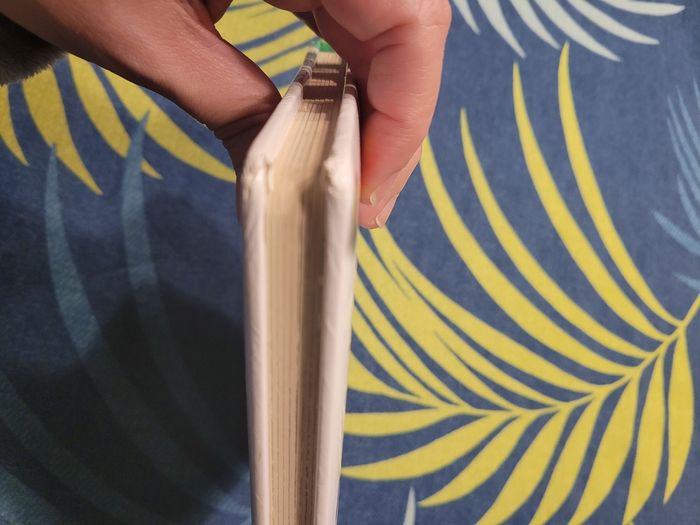 Livre p'tit garçon le traîneau de Noël - photo numéro 4