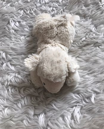 Peluche