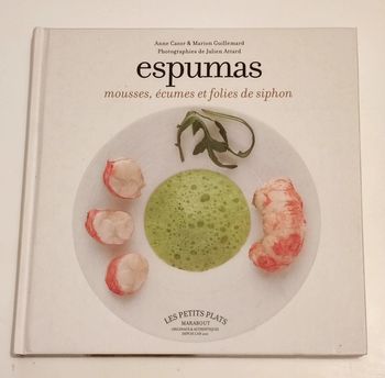 Espumas mousses écumes et folies de siphon