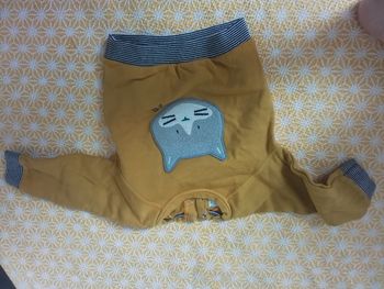 Sweat petit bateau