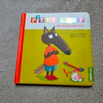 Livre enfant Auzou p’tit loup 