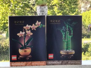 Lego bambou orchidée miniature et mini plante céramique