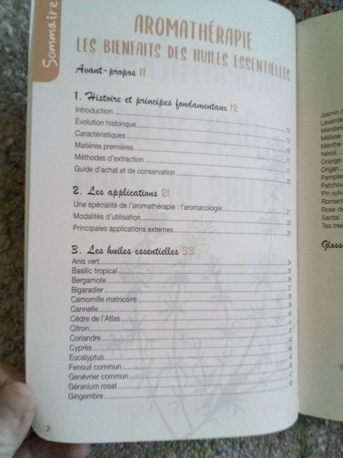 Aromathérapie aloe Vera fleurs de Bach - photo numéro 3