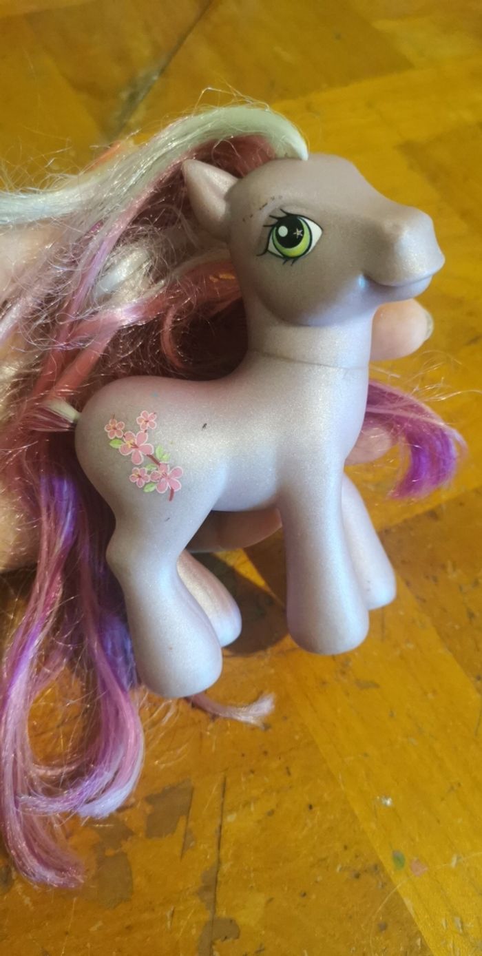 Petit poney violet fleurs