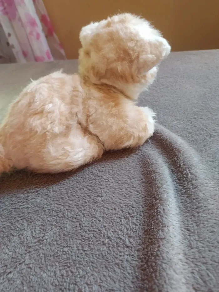 Peluche chat 🐱😺 - photo numéro 3