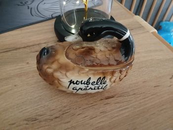 POUBELLE APERITIF CANARD