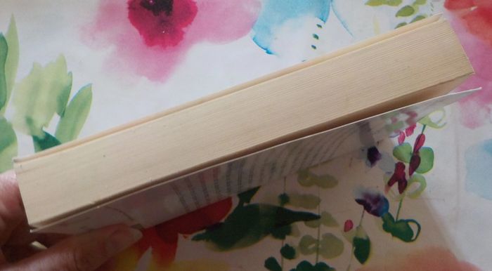 Un déjeuner de soleil de Michel Déon Ed. Folio n°2857 - photo numéro 4