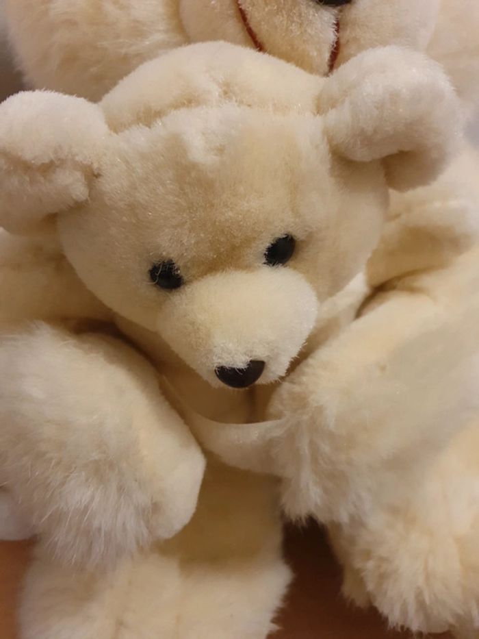 ours en peluche 🐻 - photo numéro 12