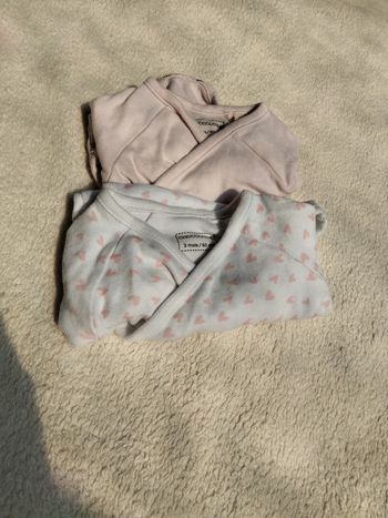 Bodies