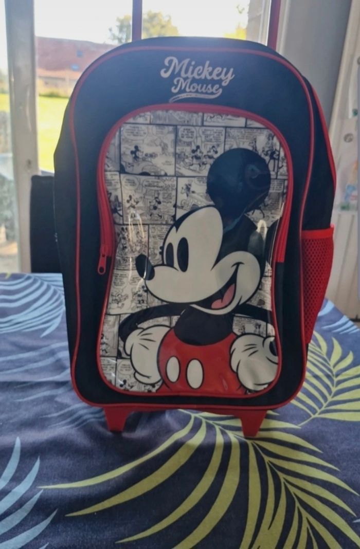 Sac Mickey
