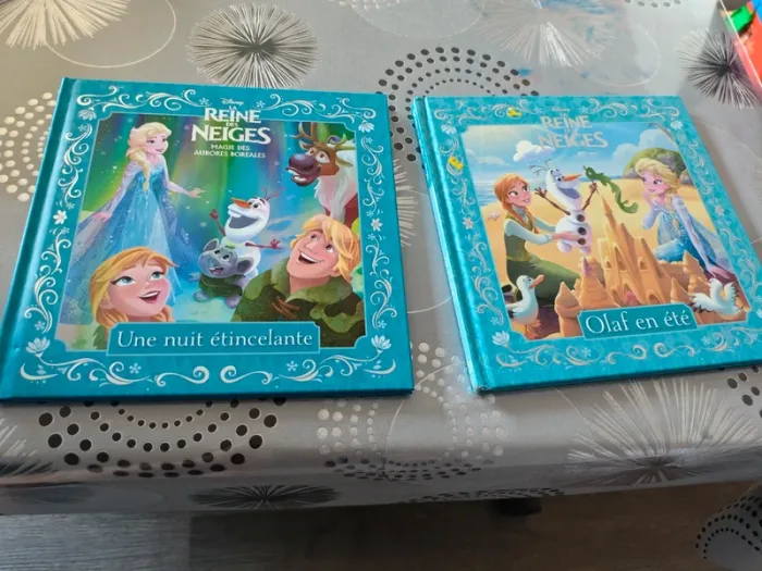Livres reine des neiges