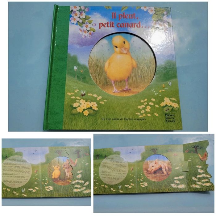 Superbe livre animé de fenêtres magiques, Il pleut petit canard.. Quatre fleuve