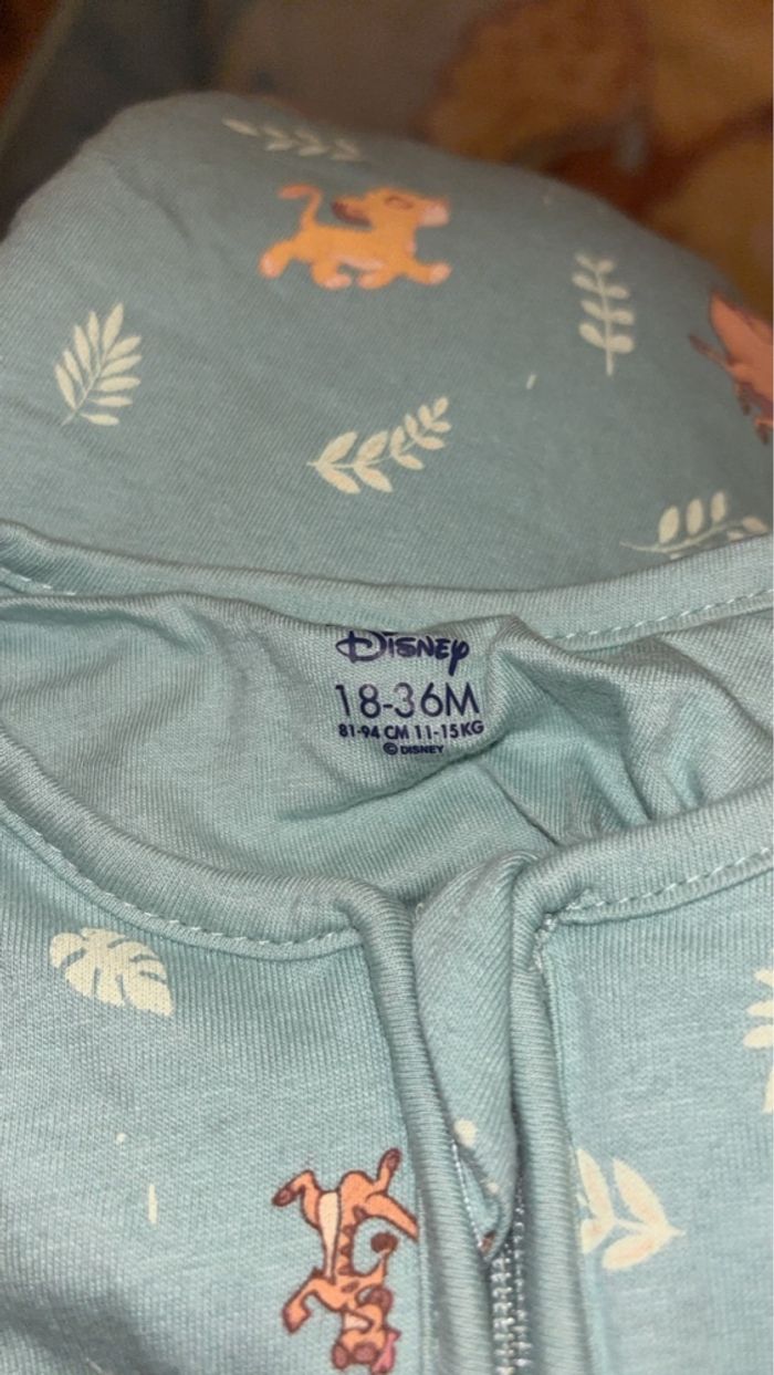 Gigoteuse - photo numéro 2