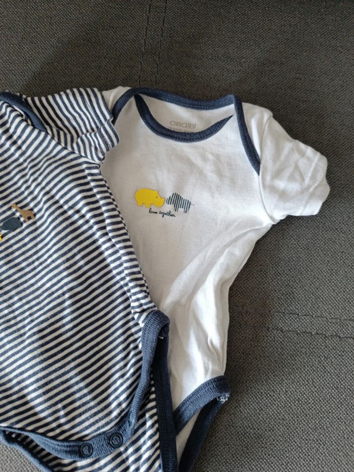 Lot body - photo numéro 3