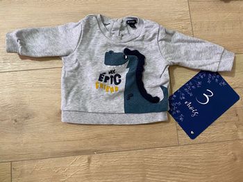 Pull dinosaures 3 mois
