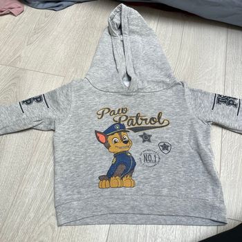 Pull paw patrol
